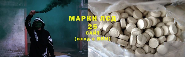 PSILOCYBIN Богородицк