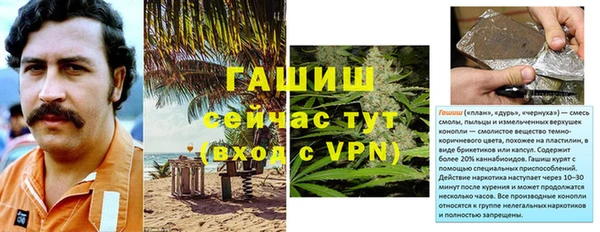 PSILOCYBIN Богородицк