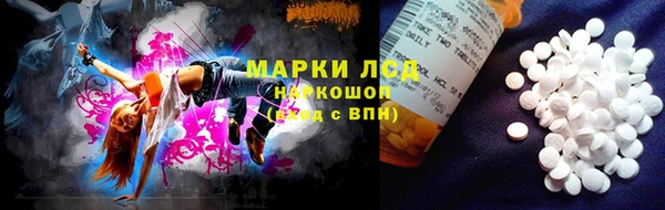PSILOCYBIN Богородицк