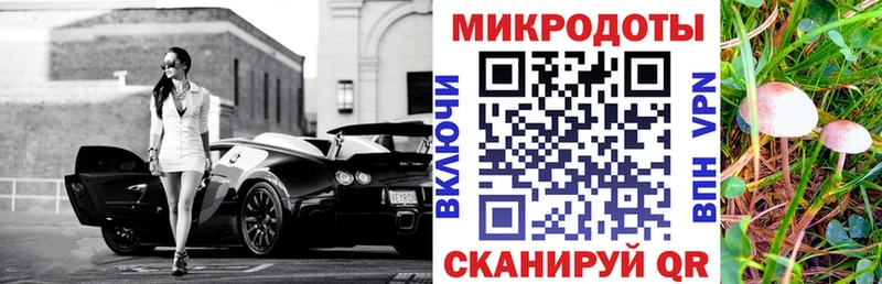 Псилоцибиновые грибы Cubensis  хочу   Златоуст 